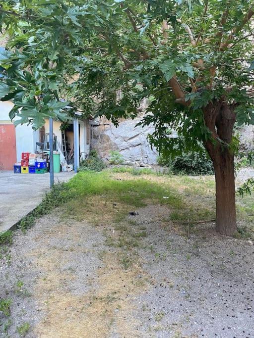 Appt 4 Pers Avec Jardin Ombrage En Centre Ville De Sete Exterior photo